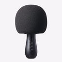 JOYROOM JR-MC6 2 in 1 Multifunctional Bluetooth 5.0 Handheld Microphone