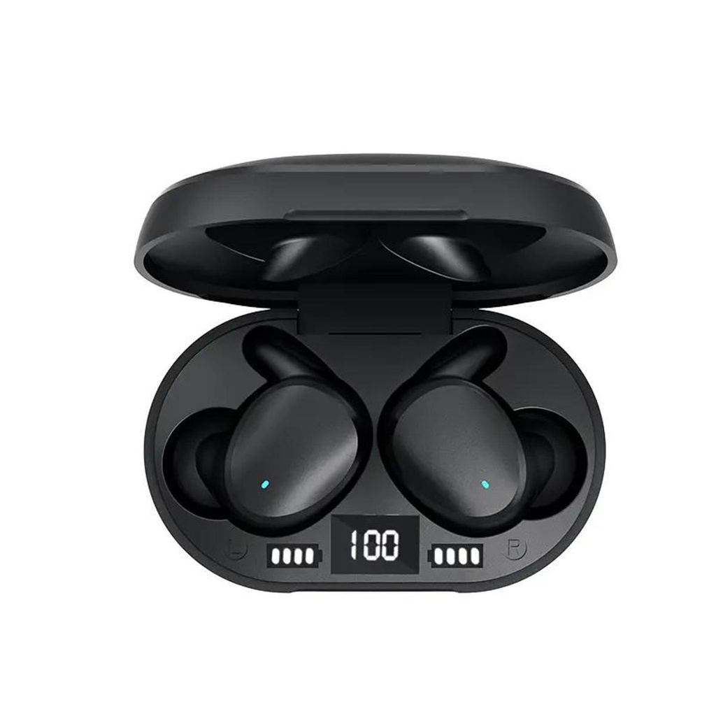 Sanag T10S PRO True Wireless Earbuds